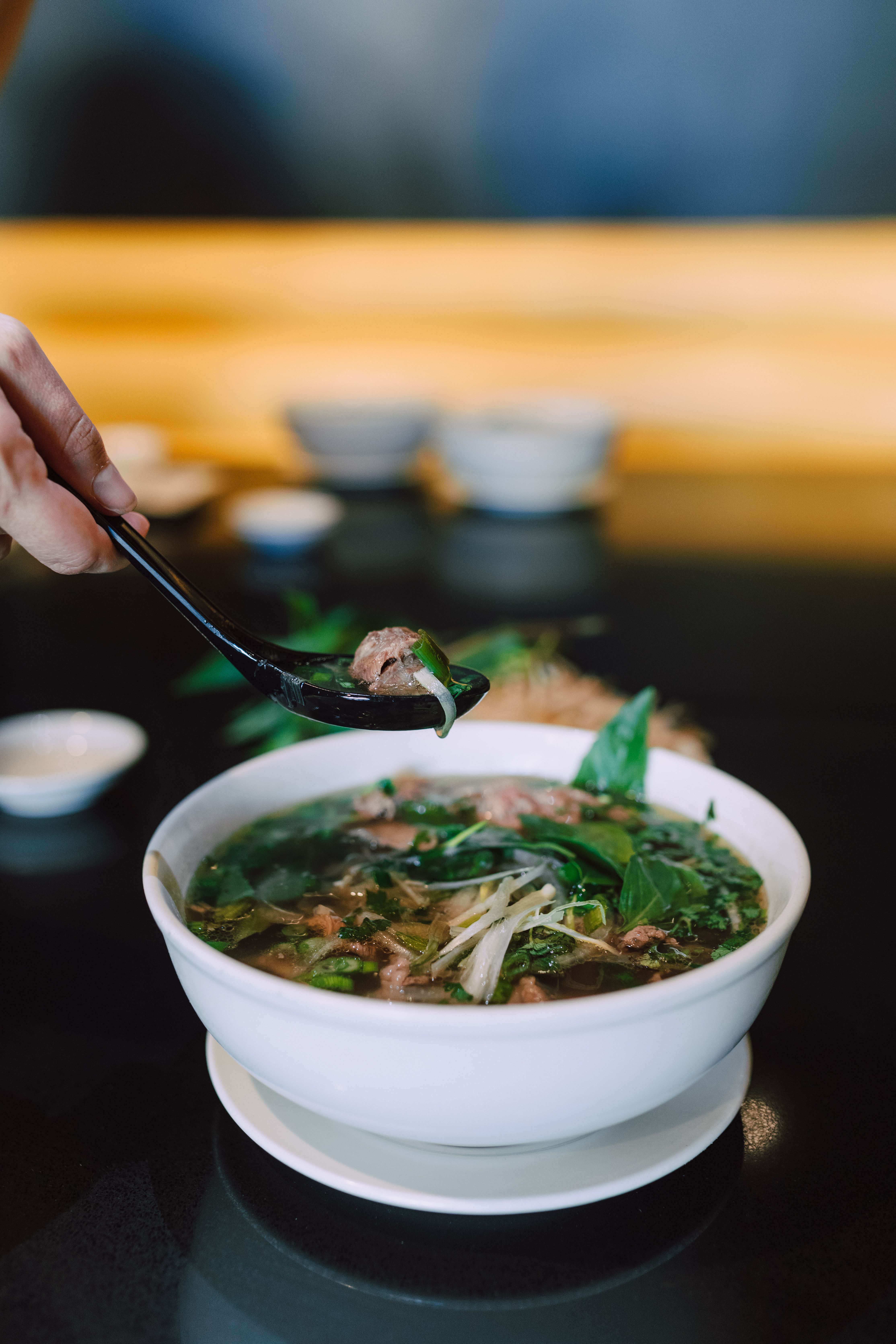 Soupy Noodles